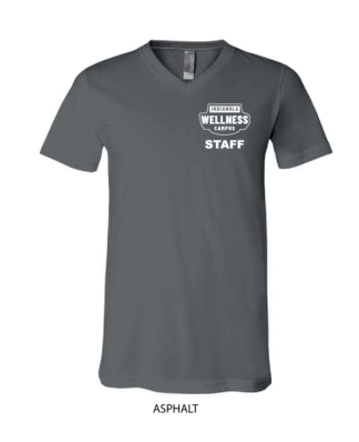 Indianola Wellness Campus - BELLA + CANVAS Unisex Jersey V-Neck Tee - 3005