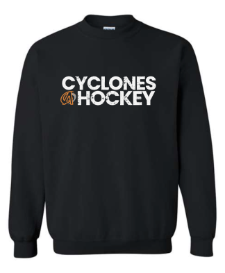 Ames Hockey - APPAREL 3 Gildan Heavy Blend Crewneck