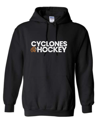 Ames Hockey - APPAREL 3 Gildan Heavy Blend Hoodie