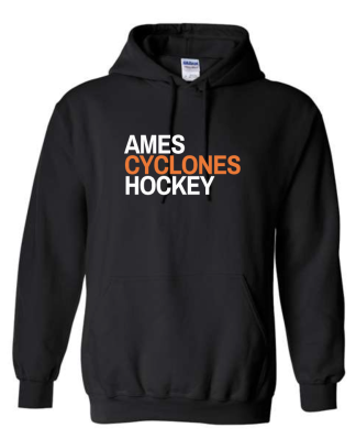 Ames Hockey - APPAREL 5 Gildan Heavy Blend Hoodie